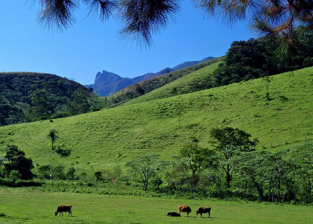 Pousada Fazenda Do Mel Visconde De Maua Zewnętrze zdjęcie