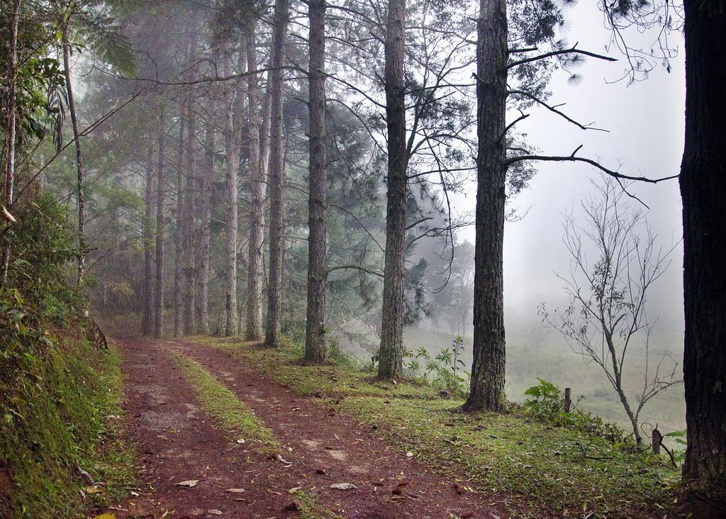 Pousada Fazenda Do Mel Visconde De Maua Zewnętrze zdjęcie